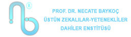 Prof. Dr. Necate Baykoç